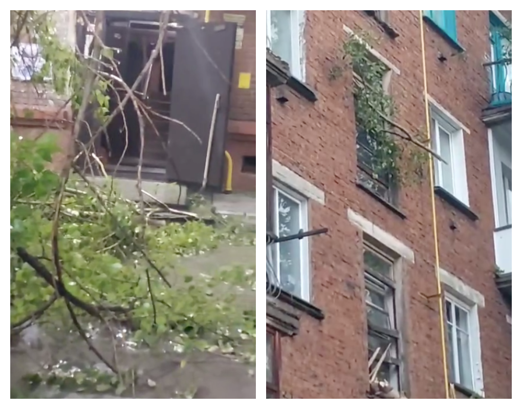 Фото В Новосибирске рухнувшее во время урагана дерево разбило окна многоэтажки 2